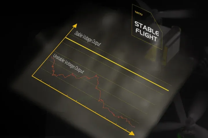 Stable Voltage.webp